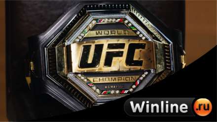 Winline подписала спонсорский контракт с UFC